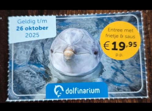 Kortingskaart Dolfinarium.
Max 8 personen.Gratis verzending., Tickets en Kaartjes, Kortingen en Cadeaubonnen, Drie personen of meer