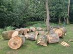 Al in grote blokken voorgezaagde wilgenhout, 3 tot 6 m³, Ophalen, Overige houtsoorten, Blokken