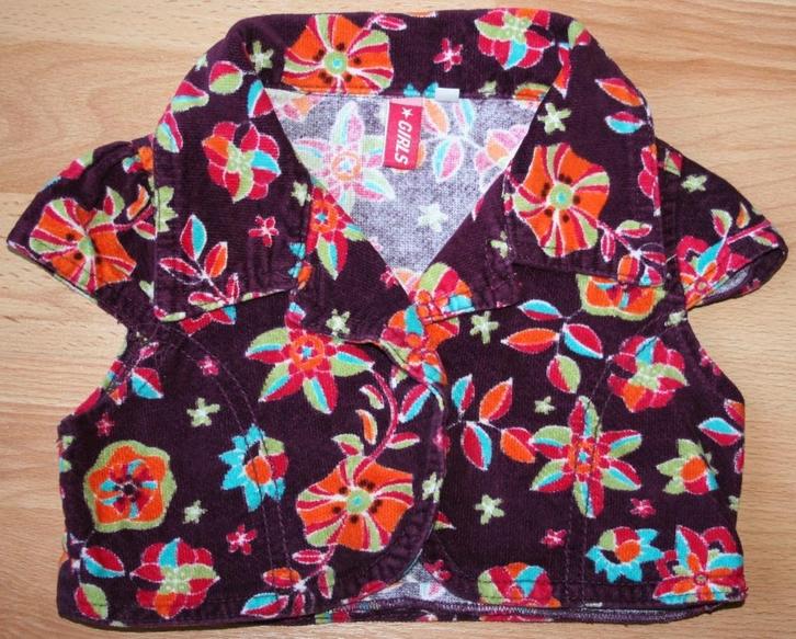 Velours vestje/bolero maat 98, Kinderen en Baby's, Kinderkleding | Maat 98, Zo goed als nieuw, Meisje, Overige typen, Ophalen