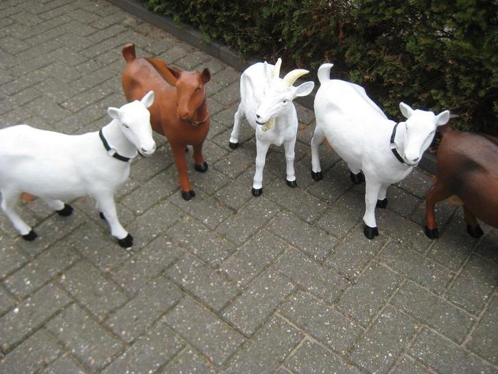 TUINBEELDEN  GEITEN  , BOKKEN ,  KOEIEN ENZ, Tuin en Terras, Tuinbeelden, Nieuw, Dierenbeeld, Kunststof, Ophalen