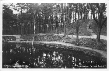 (388-351-025) Driebergen-Rijsenburg Acaciavijver in het Bosc beschikbaar voor biedingen