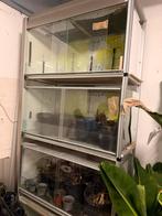 Terrarium stelling, Dieren en Toebehoren, Reptielen en Amfibieën | Toebehoren, Ophalen of Verzenden