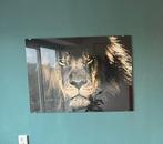 Glazen Schilderij Leeuw / glasschilderij, Antiek en Kunst, Ophalen