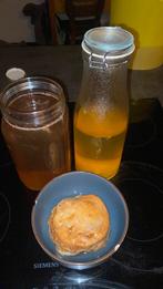 Honing kombucha jun scoby, Ophalen
