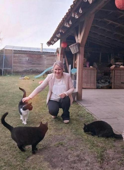 Kattenoppas - dierenoppas aan huis Zuid-Oost Friesland, Diensten en Vakmensen, Dieren | Katten | Verzorging, Oppas en Les, Particuliere oppas