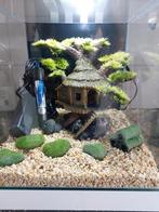 Ciano nexus 25 pure led NIEUWSTAAT, Ophalen, Nieuw, Gevuld zoetwateraquarium