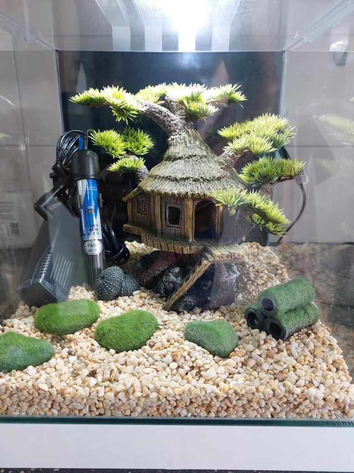 Ciano nexus 25 pure led NIEUWSTAAT, Dieren en Toebehoren, Vissen | Aquaria en Toebehoren, Nieuw, Gevuld zoetwateraquarium, Ophalen