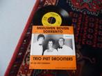 trio piet droomers meeuwen boven sorrento, Cd's en Dvd's, Ophalen of Verzenden, Zo goed als nieuw, Nederlandstalig