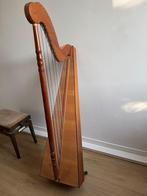 Paraguay Harp Hans den Brok met travel case, Ophalen, Zo goed als nieuw