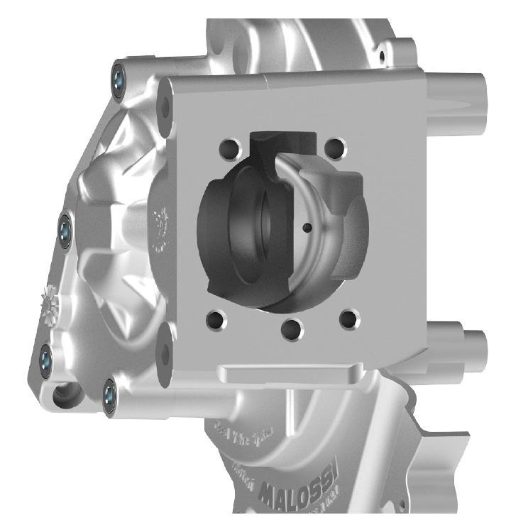 Malossi carter set 5717892 Citta Ciao Bravo Si reed valve, Fietsen en Brommers, Brommeronderdelen | Algemeen, Nieuw, Blok, Ophalen of Verzenden