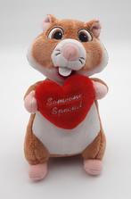 AH Valentijn Hamster Someone Special ca. 21cm uit 2016, Ophalen of Verzenden, Zo goed als nieuw, Overige typen