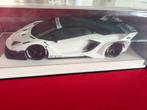 1:18 Davis and Giovanni (D&G) Aventador LB performance  EVO, Hobby en Vrije tijd, Modelauto's | 1:18, Verzenden, Nieuw, Auto, Overige merken