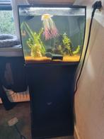 Fluval 57 l gebruikt ter overbrugging, Dieren en Toebehoren, Vissen | Aquaria en Toebehoren, Ophalen of Verzenden, Zo goed als nieuw