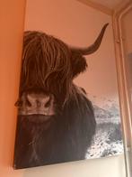 Wandschilderij Schotse Hooglander, Ophalen, Nieuw, Schilderij, 50 tot 75 cm