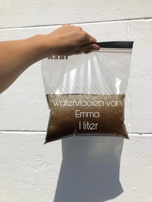 Levende watervlooien, Dieren en Toebehoren, Vissen | Aquariumvissen, Vis