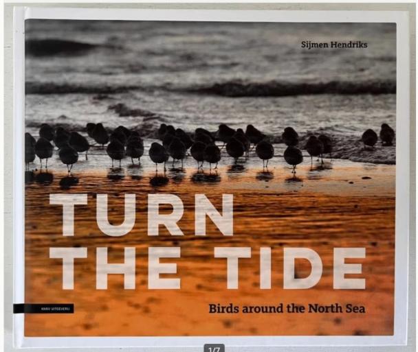 Turn the tide - Vogels rond de Noordzee - S. Hendriks (2019), Ophalen of Verzenden, Zo goed als nieuw, Vogels