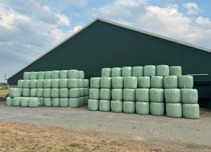 Midibalen hooi,Horsemaster mengsel.Vrij van Jacobskruiskruid, Zakelijke goederen, Agrarisch | Veevoer, Ophalen