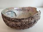 Grote Abalone Parelmoer Schelp Schaal Zeeoor, Verzamelen, Mineralen en Fossielen, Ophalen of Verzenden, Schelp(en)