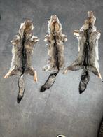 Zuid afrikaanse vossenhuiden, Ophalen of Verzenden