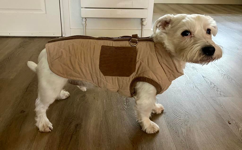 Heerlijk warme khaki hondenjas, Ophalen of Verzenden, Nieuw, Hondenjas