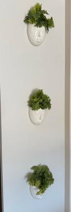 wanddecoratie met nep plantjes, Huis en Inrichting, Ophalen, Zo goed als nieuw