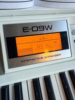 roland e-09w, Muziek en Instrumenten, Ophalen of Verzenden, Gebruikt, Roland