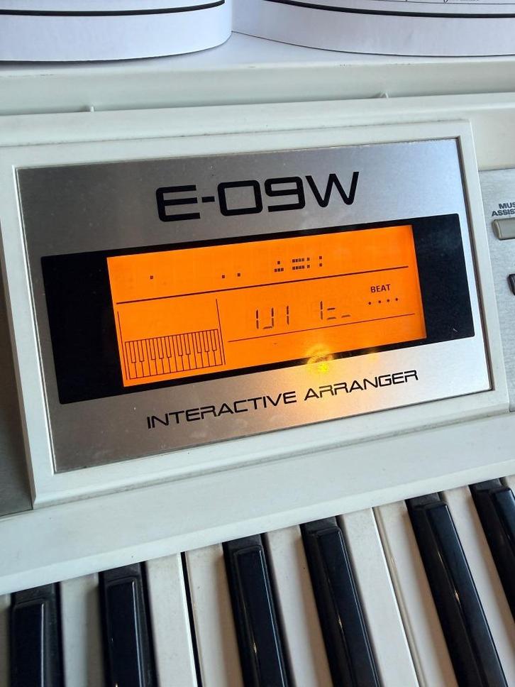 roland e-09w, Muziek en Instrumenten, Drumstellen en Slagwerk, Gebruikt, Roland, Ophalen of Verzenden