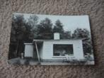 ELSPEET  >  ZOMERHUISJE BUIZERD, Verzenden, 1940 tot 1960, Gelopen, Gelderland