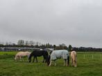 Doe het zelf paddock met weidegang, Weidegang