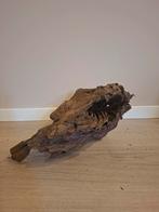 2 Stukken Kienhout - Aquarium Decoratie, Dieren en Toebehoren, Ophalen, Gebruikt, Plant(en), Steen of Hout