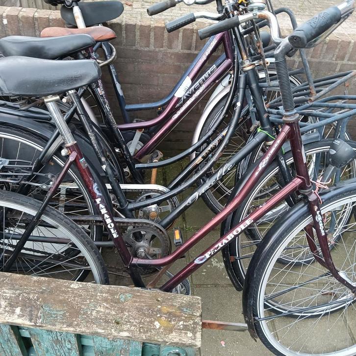 dames en heren fietsen wegens wijnig ruimte gaan ze good koo, Fietsen en Brommers, Fietsen | Dames | Omafietsen, Zo goed als nieuw