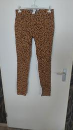 Super broek nieuw, Nieuw, Lang, Maat 38/40 (M), Ophalen of Verzenden