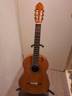 Valencia CG 195 gitaar, Ophalen, Gebruikt