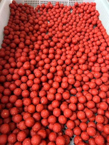 Ice cream boilies verschillende smaken beschikbaar voor biedingen