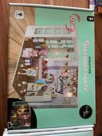 Craft en co zelfbouw, Ophalen of Verzenden, Zo goed als nieuw, Poppenhuis