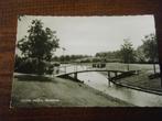 Y29 - Nieuwe Pekela - Park - Brug - Mooi/Oud, Verzamelen, Ansichtkaarten | Nederland, Ophalen of Verzenden