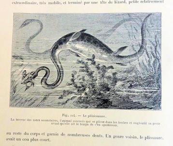 Les Animaux excentriques 1903 Coupin - Dieren beschikbaar voor biedingen