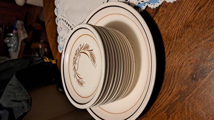 Vlaai of taart schaal met 12 bordjes (black friday, Huis en Inrichting, Keuken | Servies, Zo goed als nieuw, Bord(en), Overige stijlen