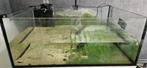 Aquarium met schade, Dieren en Toebehoren, Vissen | Aquaria en Toebehoren, Ophalen, Gebruikt, Leeg aquarium