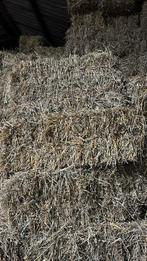 Kleine pakjes tarwe stro, Dieren en Toebehoren, Ophalen, Vee