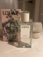 Loewe Oregano Home Fragrance, Ophalen of Verzenden, Nieuw
