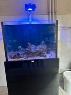 Aquaja diamondline 275, Ophalen of Verzenden, Zo goed als nieuw, Leeg aquarium