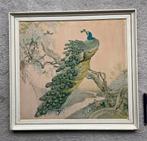 Pauw, Ophalen, Schilderij, 50 tot 75 cm