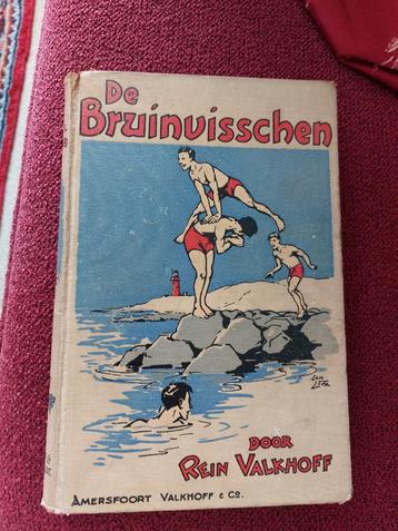 De bruinvisschen - Rien Valkhoff beschikbaar voor biedingen