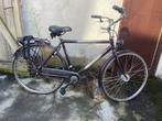 Sparta City Bike – Reliable Dutch Commuter, Ophalen, Sparta, Versnellingen, 53 tot 56 cm