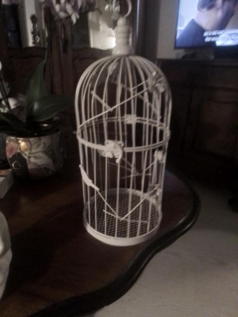 Decoratie kooi, Ophalen of Verzenden, Overige materialen, Minder dan 25 cm