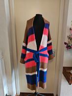 Kleurrijk Gebreid Vest, Maat 38/40 (M), Overige kleuren, Ophalen of Verzenden, Zo goed als nieuw