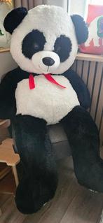 Mega Grote Panda Knuffel - Nieuw!, Ophalen, Nieuw, Beer