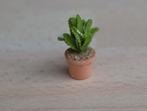 Piepklein plantje in terracotta potje., Ophalen of Verzenden, Nieuw, Gebruiksvoorwerp