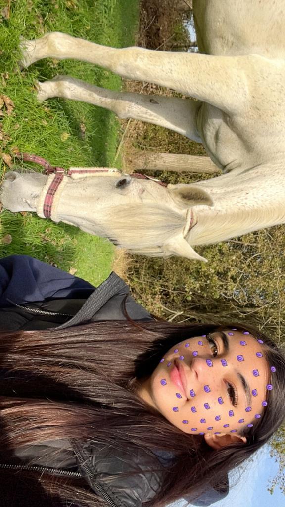 STAL HULP AANGEBODEN, Dieren en Toebehoren, Stalling en Weidegang